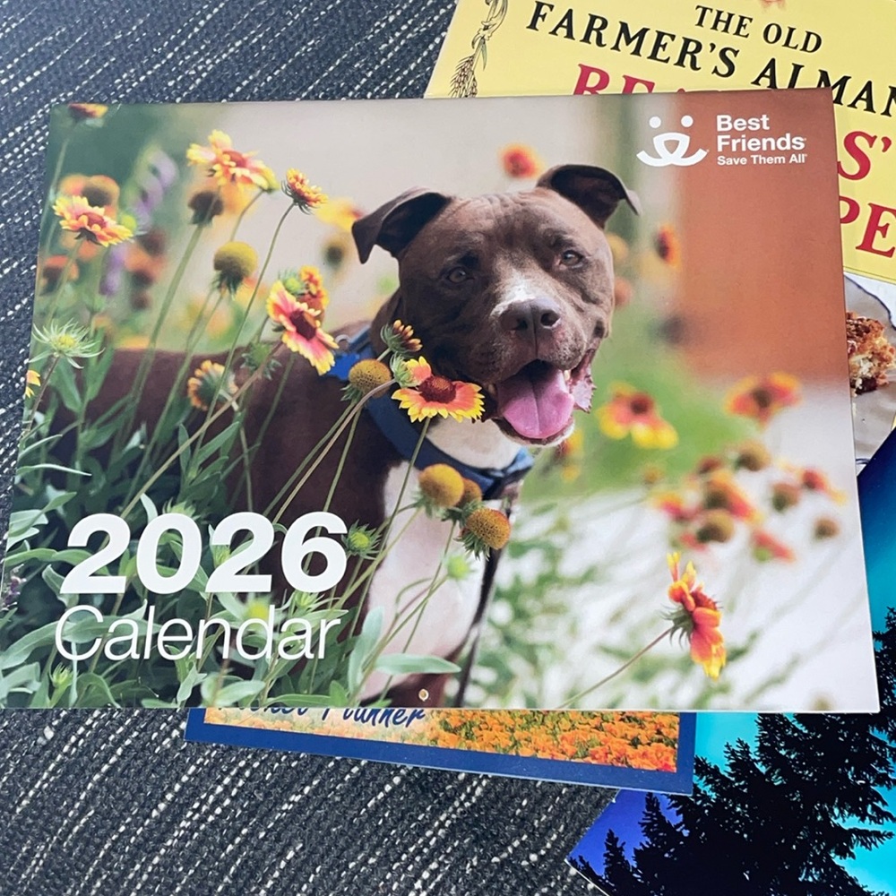 2026 Wall Calendar with 🌖 Phases, BONUS from my closet marked Free w/purchase